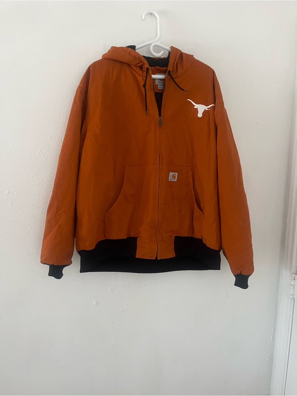 Carhartt Men's Hooded Puffer Jacket in Burnt Orange with White Longhorn